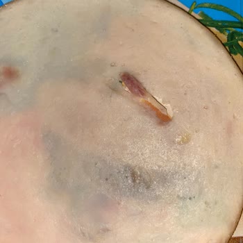 Polonez Piliç Füme Eti