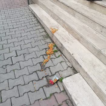 Hakmar Express Market Alışverişinde Yaşanan Poşet Sorunu Ve Müşteri Hizmetleri Fiaskosu