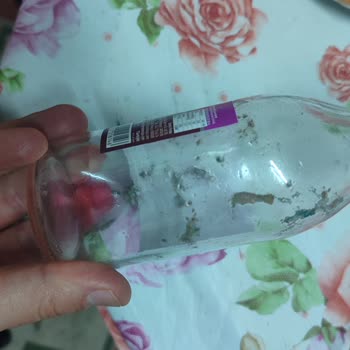 Şifa Maden Suları Karadut Ve Frenk Üzümü İçinde Yabancı Madde