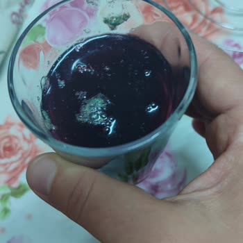 Şifa Maden Suları Karadut Ve Frenk Üzümü İçinde Yabancı Madde