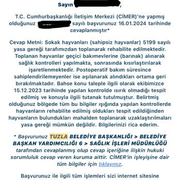 Tuzla Belediyesi Tuzla Aydıntepe Parkta Saldıran Onlarca Köpek