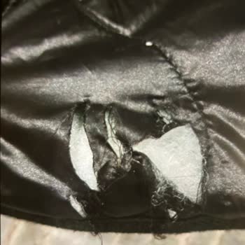 Tuzla Belediyesi Tuzla Aydıntepe Parkta Saldıran Onlarca Köpek