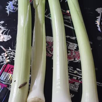 Carrefour SA Çürük Ve Uygun Olmayan Ürün.