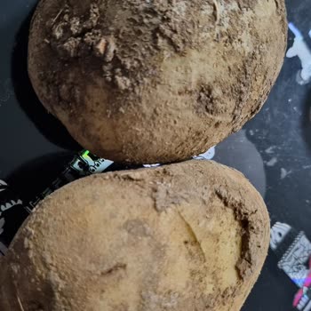 Carrefour SA Çürük Ve Uygun Olmayan Ürün.