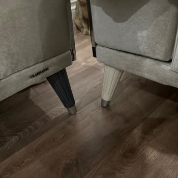 Bellona 300 Bine Aldığım Bütün Ev Seti