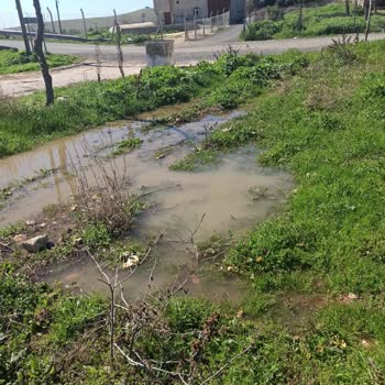 Şanlıurfa Haliliye Belediyesi Ve Şuski Kanalizasyon Şikayeti