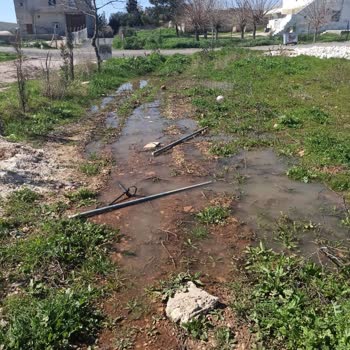 Şanlıurfa Haliliye Belediyesi Ve Şuski Kanalizasyon Şikayeti