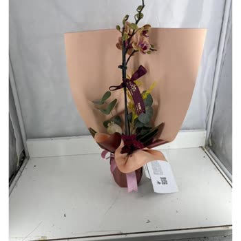 Taze Çiçek Siparişim Teslim Edilmedi Ve Onay İçin Defalarca Kötü Çiçek