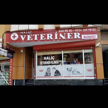 Haliç Veteriner Kliniği Veteriner Hizmetinde Yaşanan Sorunlar Ve Mağduriyet