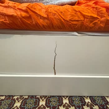 Vivense Yavrulu Yatağım Bir Yıl Olmadan Kırıldı.