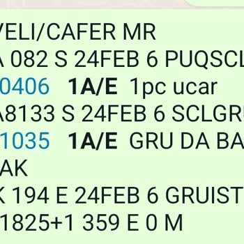 THY Cafer D***** Kayıp Bagaj