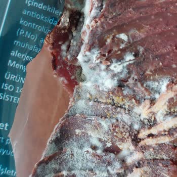 Başyazıcı Küflü Pastırma Hayal Kırıklığı