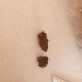 Lezita Piliç Köfte Paketinden Çıkan Garip Şey.