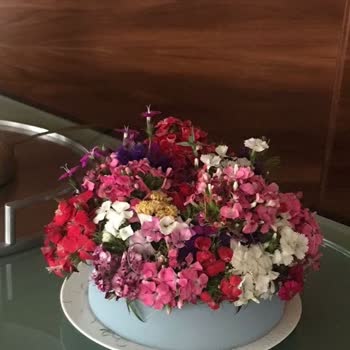 Taze Çiçek (tazecicek.com) Tam Bir Hayal Kırıklığı.