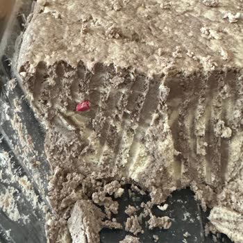 Koska Nazar Boncuklu Tahin Helvadan Plastik Çıktı!