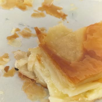 Bülent Börek Böcek Çıktı!