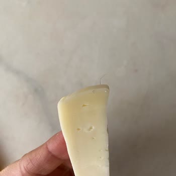 Ünal Eski Kaşardan Kıl Çıkması