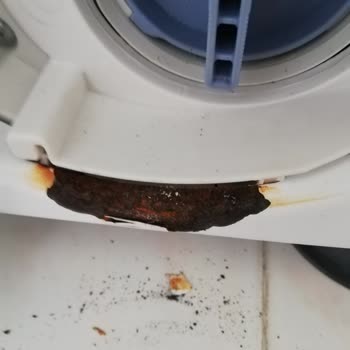 Siemens Çamaşır Makinesi Pişmanlığı