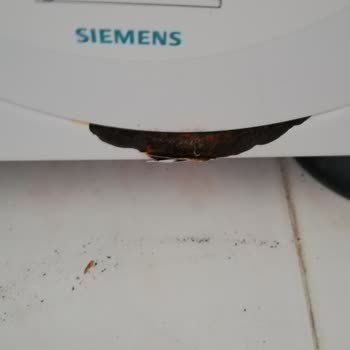 Siemens Çamaşır Makinesi Pişmanlığı