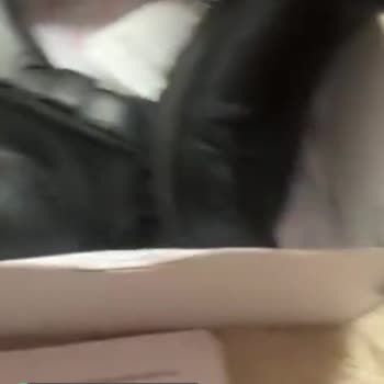 Polaris Bir Gün İçinde Kırılan Ayakkabı