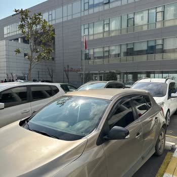 Pendik Belediyesi Pendik Göçü Dairesi