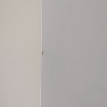 Montajx Montaj Sorunu