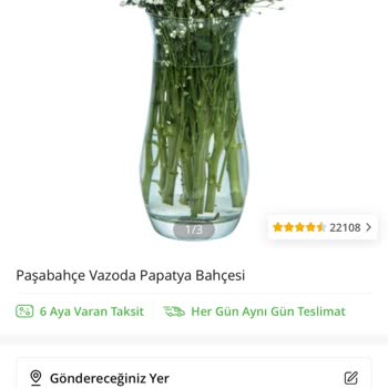 Çiçek Sepeti Antalya Tüm Şirketlerin De Sorun!