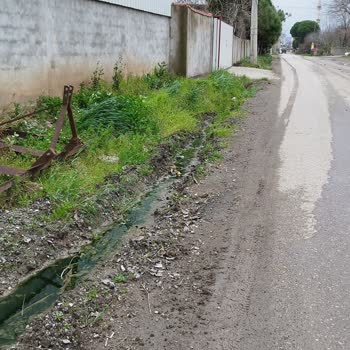 Bafra'da Yağmur Suları ve Atık Su Sorunu