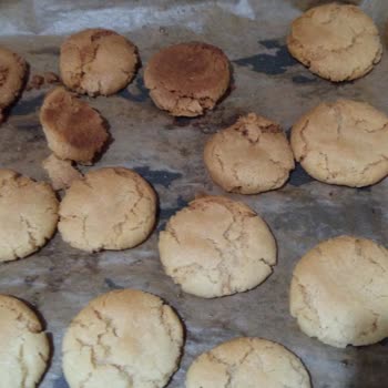 Termikel Kusurlu Midi Fırın Şikayeti