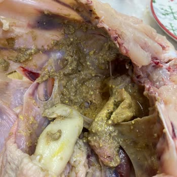 A101 Kurtlu Tavuk Satışı