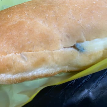 Tada! Sandviç Küflü Çıktı