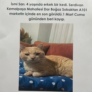 A101 Serdivan Kemalpaşa Mahallesi