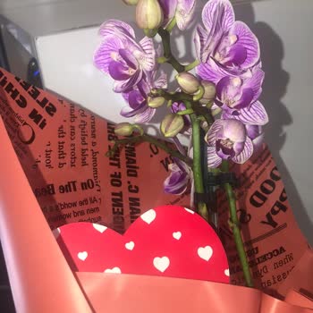 Taze Çiçek (tazecicek.com) Görselle Alakasız Çiçek Gönderdiler