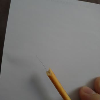 Eti Gıda Eti Kraker İçinden Kıl Çıktı