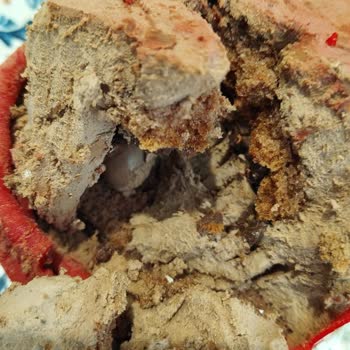 Mado Pastasının Kötü Tadı!