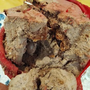 Mado Pastasının Kötü Tadı!