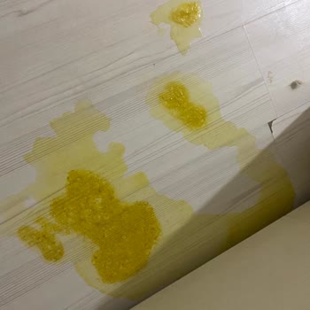 Royal Canin Kolay Mama Sitesi Üzerinden Bozuk Mama Ticareti