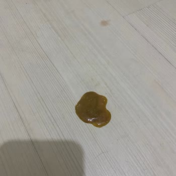 Royal Canin Kolay Mama Sitesi Üzerinden Bozuk Mama Ticareti