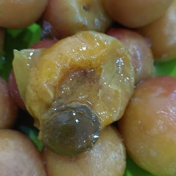 Aseriyorum.net Alışverişimde Param Çöpe Gitti