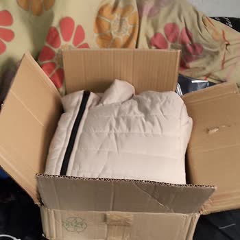 Stoykis ? &? &? Yuh Olsun Size