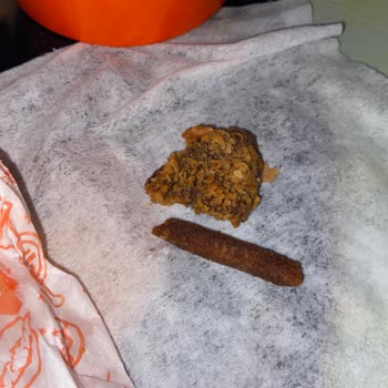 Popeyes Kömür Gibi Nugget Ve Patates Kızartması