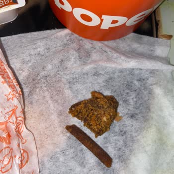 Popeyes Kömür Gibi Nugget Ve Patates Kızartması