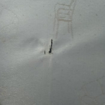 Bellona Aden Plus Üretim Hatası