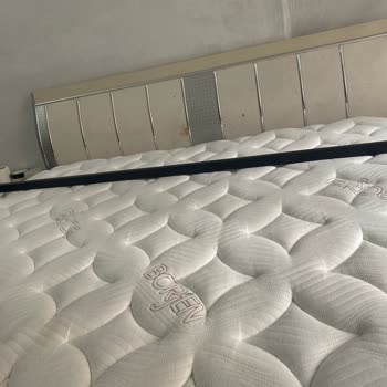 Bambi Yatak Bambi Borjen Yatak Pişmanlığı!