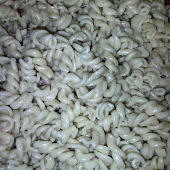 Piyale Marka İçindeki Tuhaf Lekeler