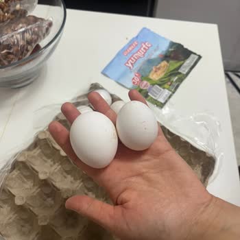 Çelebiler Yumurtada Boyut Yalanı