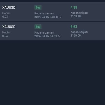 Major Capital Markets Yatırım Danışmanlığı Uzman