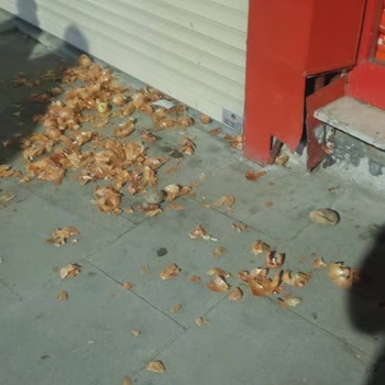 Şok Marketler Market Önündeki Çevre Kirliliği Sorunu