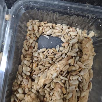 A101 Tuzlu Kurabiyeden Böcek Ve Kurt Çıkması