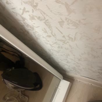 Modalife Lexus Düğün Paketi,Pişmanlık